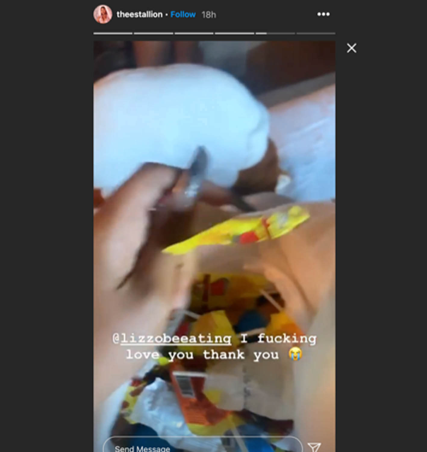 megan thee stallion on stories