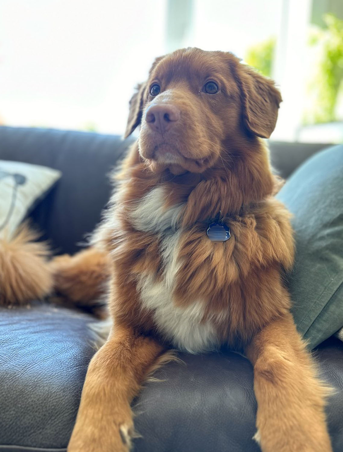 September 13, 2024 – Shout-Outs