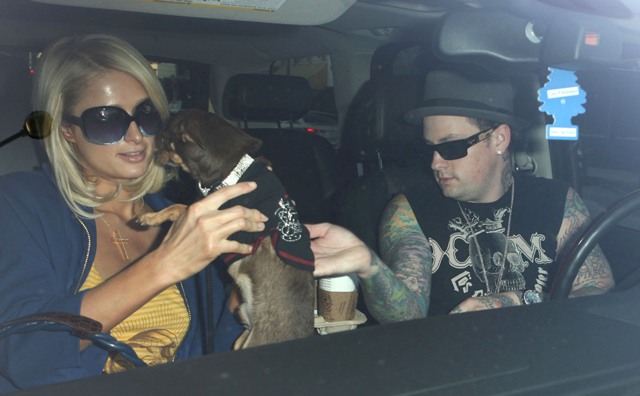 Ebola Desperate to Spread