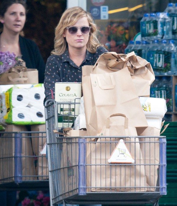 Amy Poehler’s new hookup