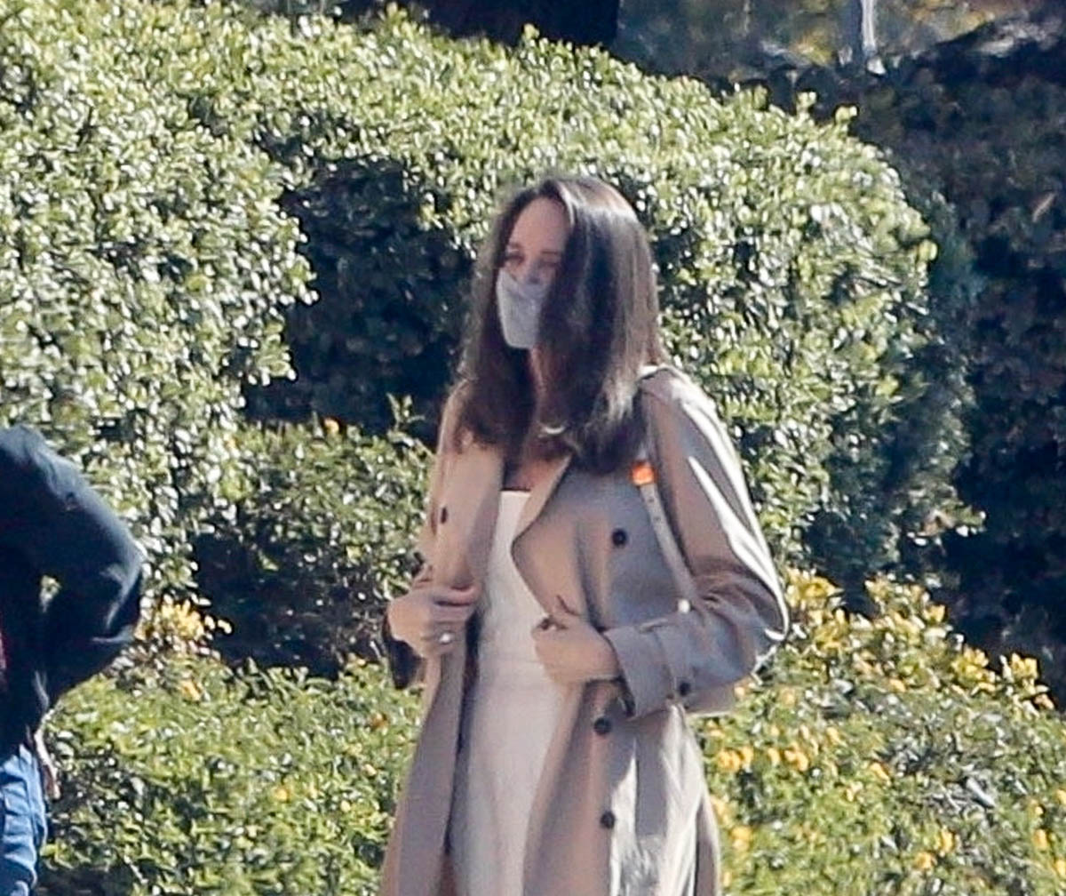 Angelina Jolie: Selling the Art