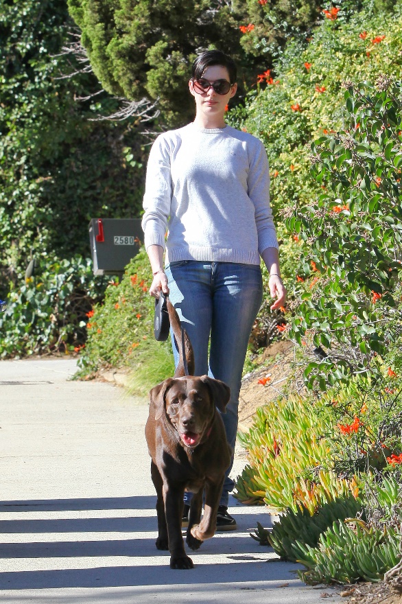 Anne’s Christmas gift