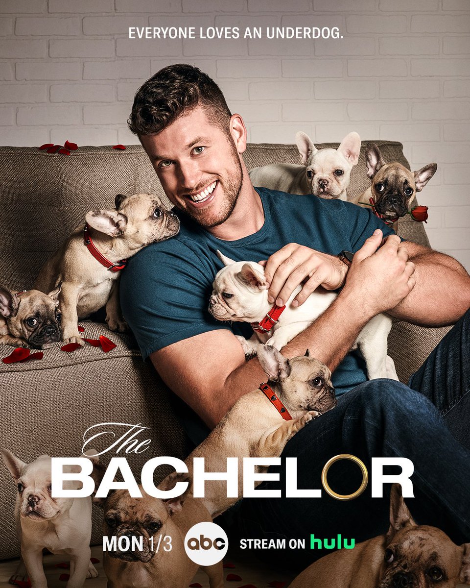 Dear The Bachelor, I’m Bored.