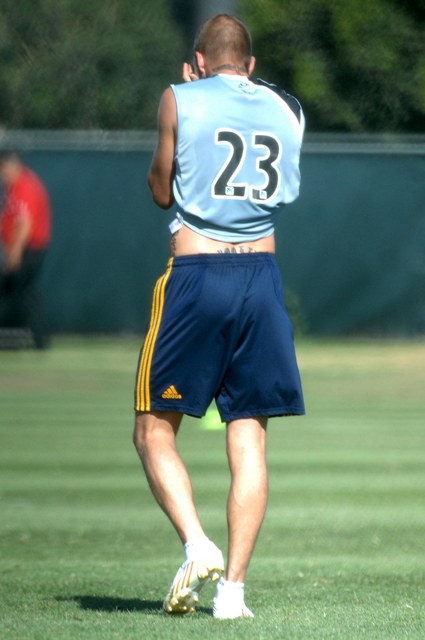 Becks Milan, Posh India