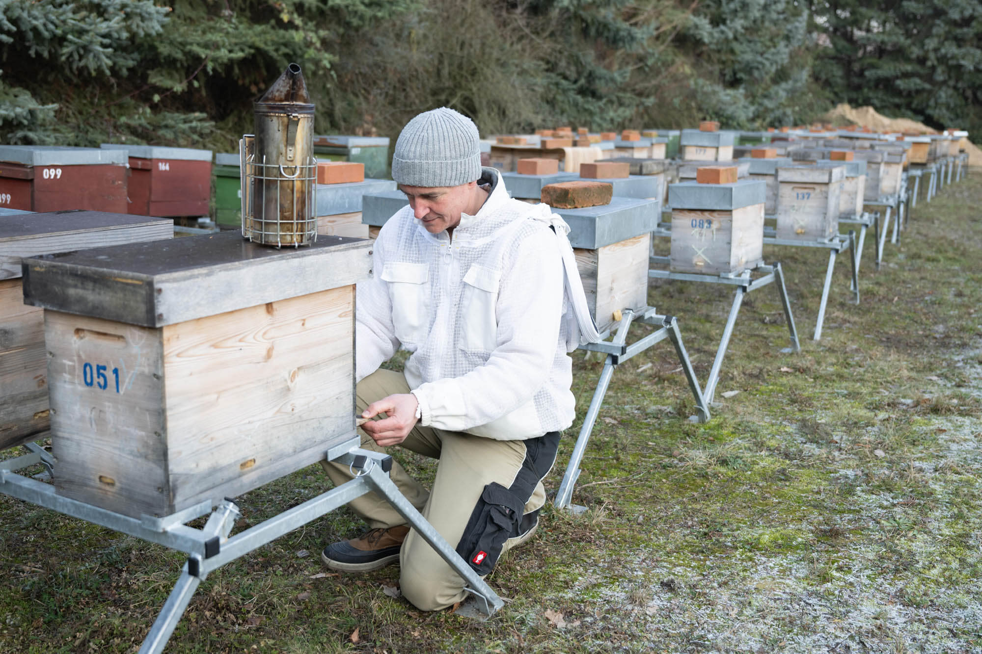 10 Questions About The Beekeeper