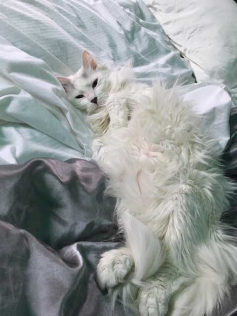 February 13, 2019 – Smutty Shout-Outs