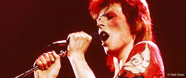 Ziggy Stardust Stamp of Approval