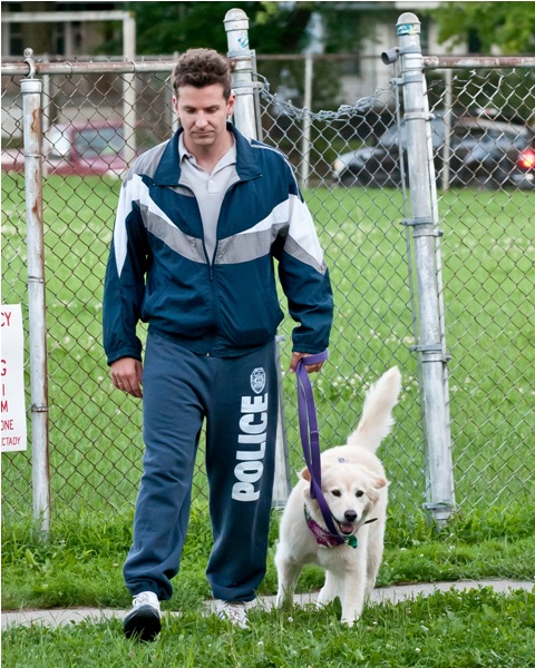 Douchebag or dork suit