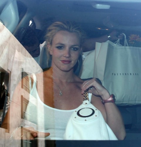 Chicken Fried No VMA