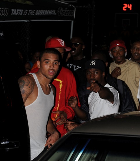 Doesn’t he look so sorry?