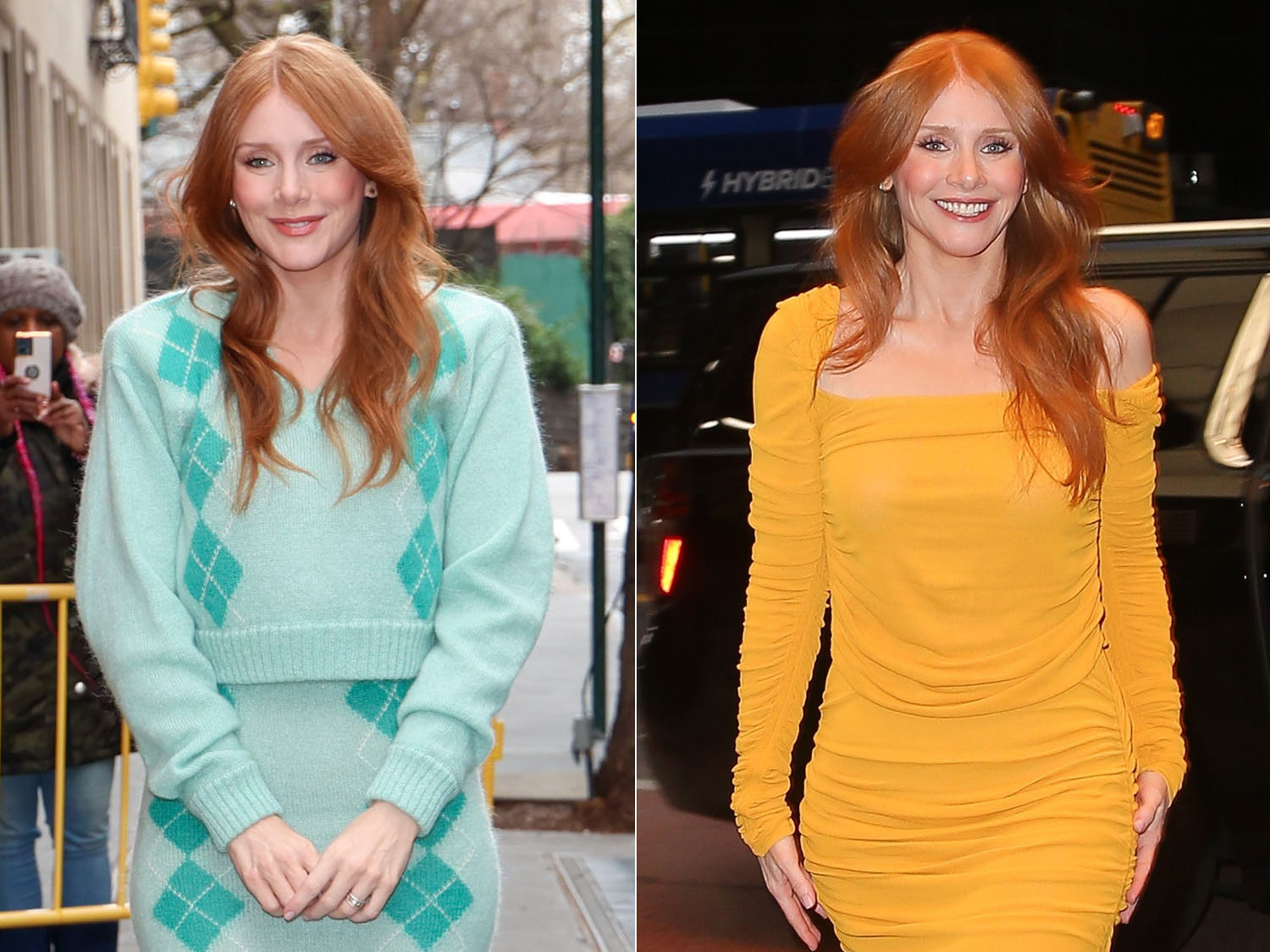 Bryce Dallas Howard: Style and Décor