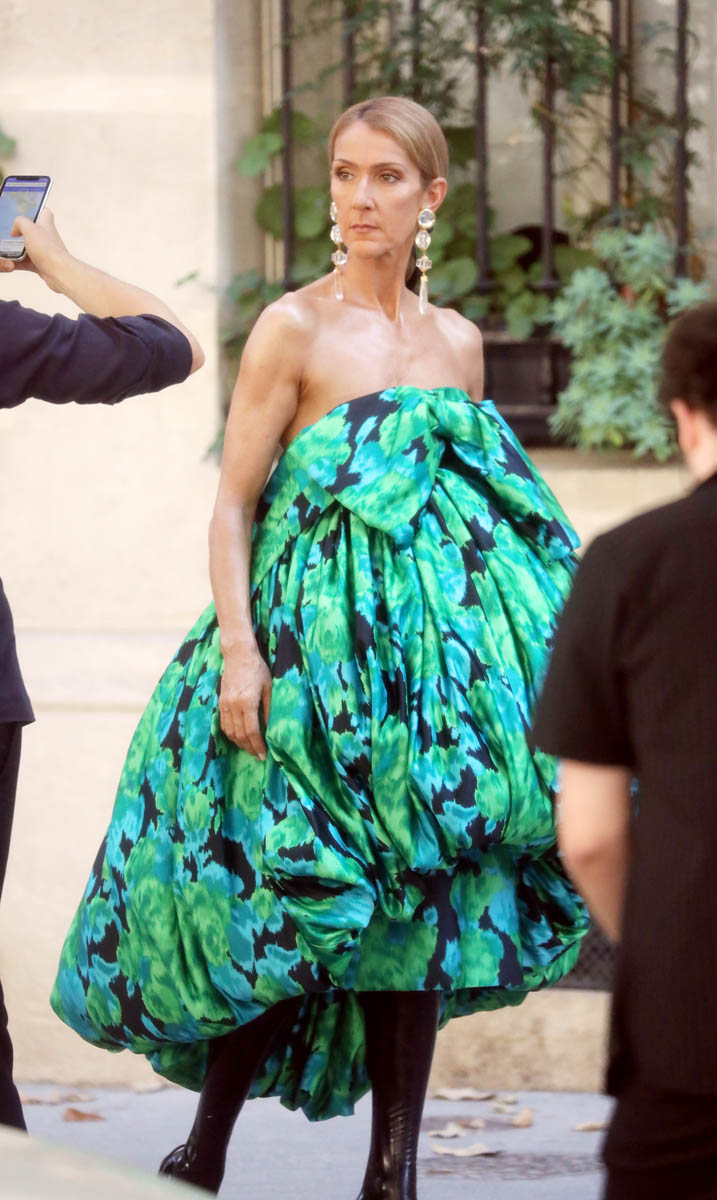 Celine Dion: never too much