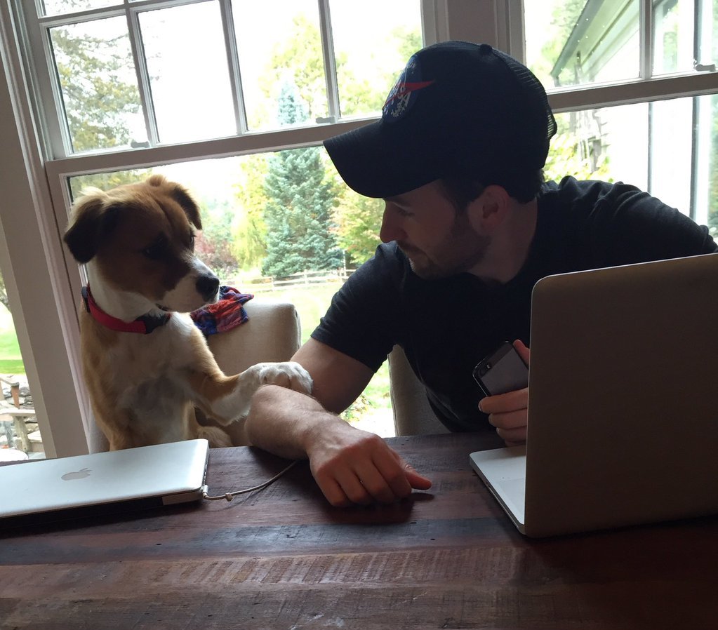 Chris Evans & Dodger: a love story