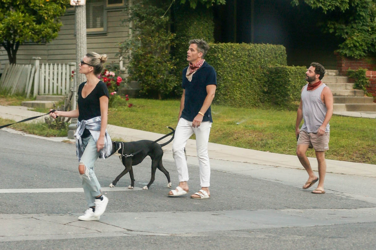 Chris Pine, Met Gala 2010