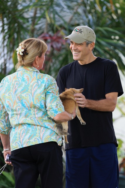 A crusty Clooney makes it up