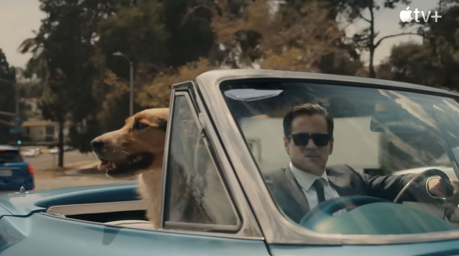 Colin Farrell’s anxious and upset murder mystery