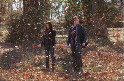 Dear Old Mom and Dad