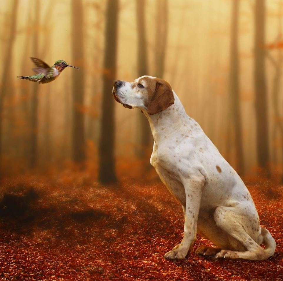 February 18, 2021 - Smutty Shout-Outs