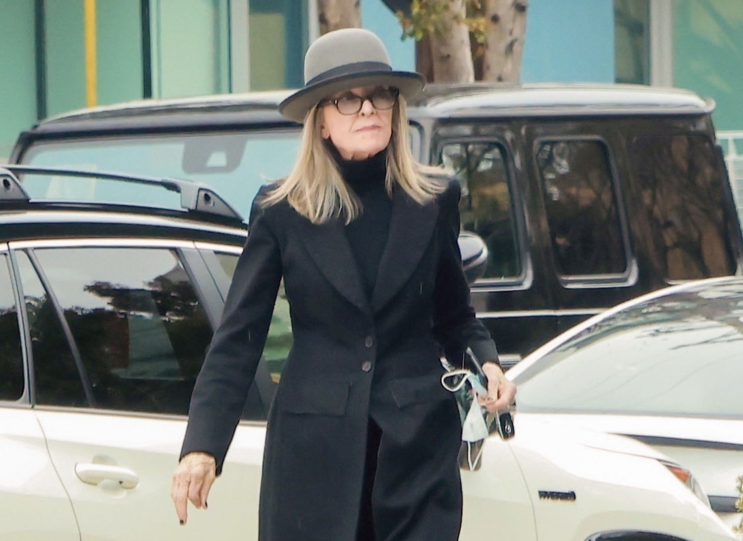 Diane Keaton's possibilities