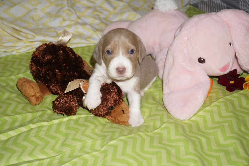 Duana Names: Who Else Am I Mad About?