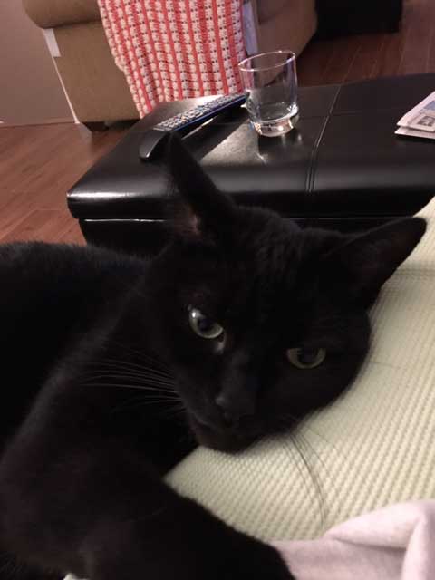 January 8, 2019 – Smutty Shout-Outs