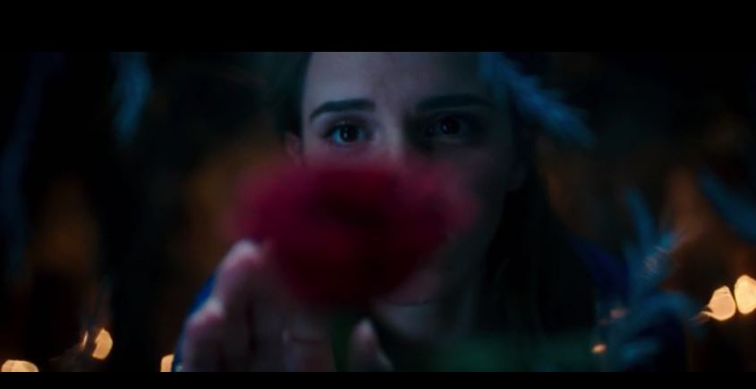 Little Beauty, Less Beast