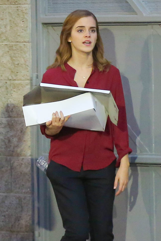 TIFF Review: Emma Watson in Colonia