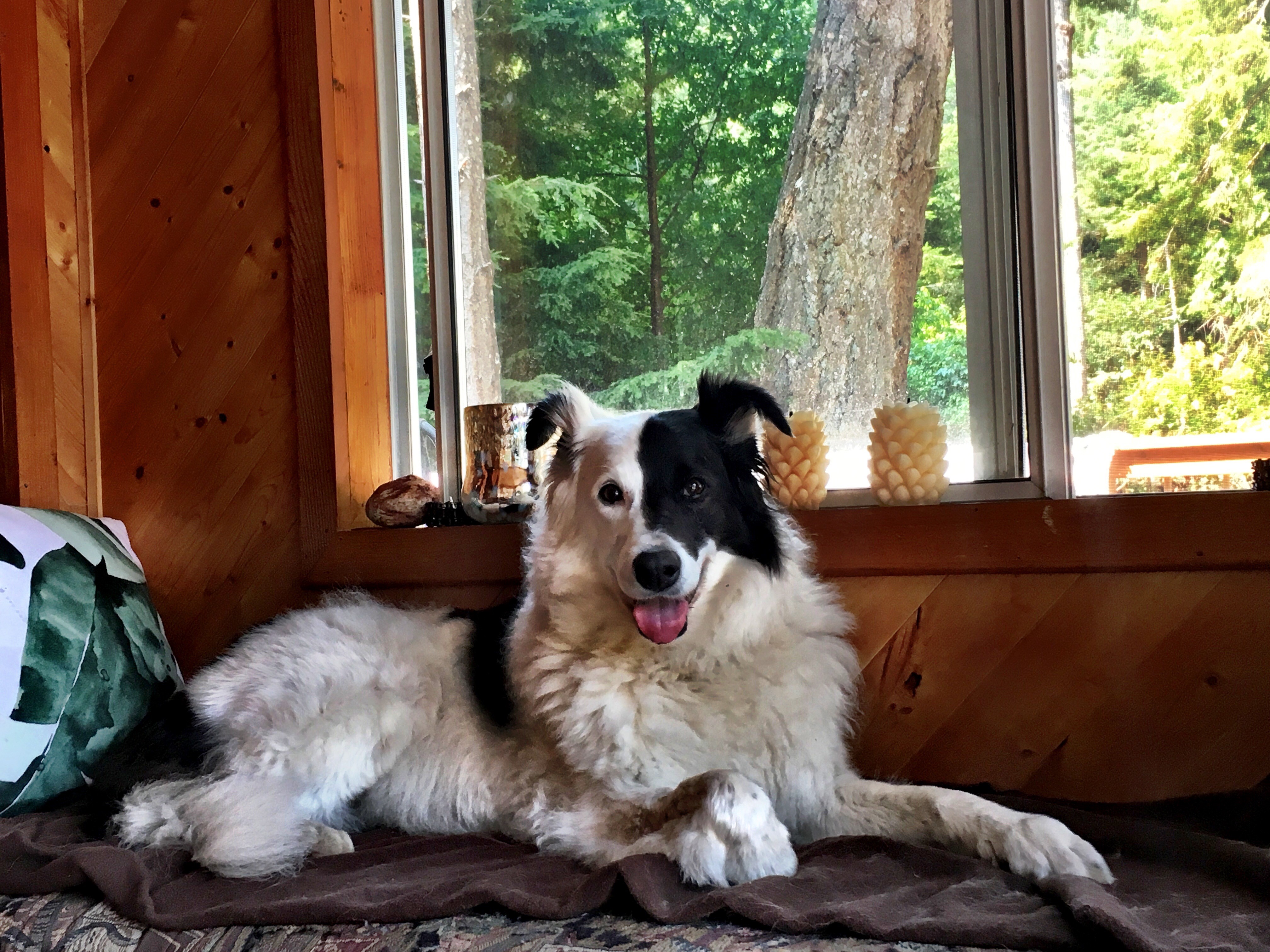 January 13, 2020 – Smutty Shout-Outs