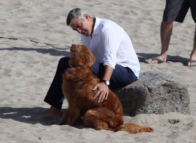 A man who can talk to dogs