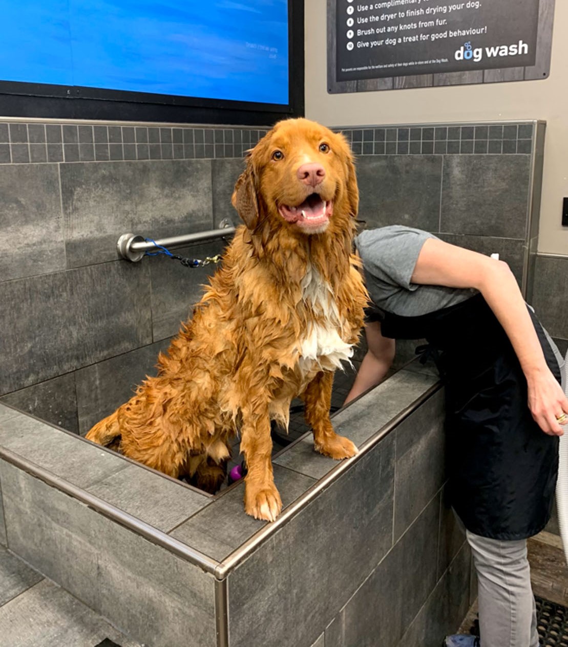 September 20, 2024 – Shout-Outs