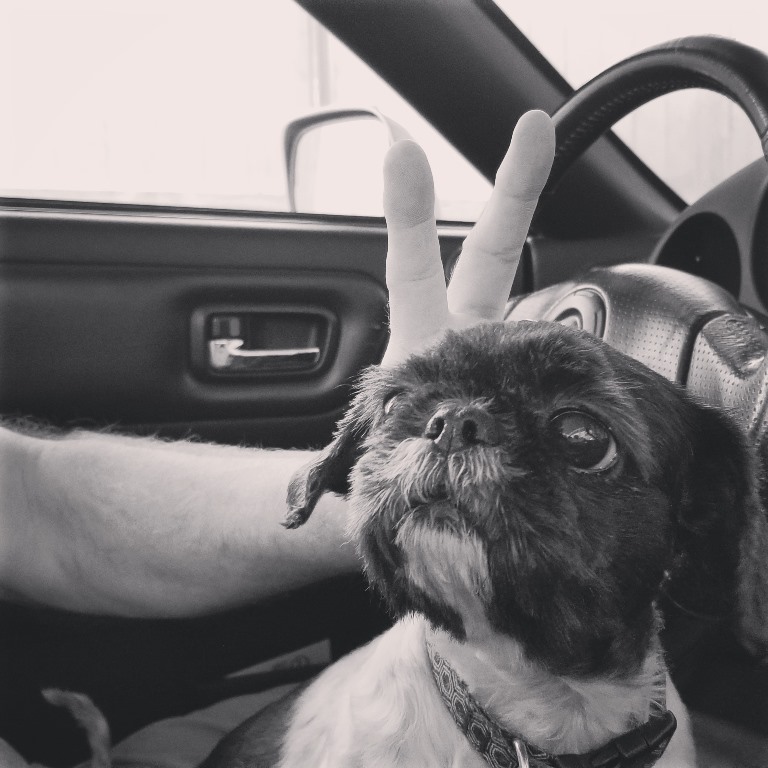 January 24, 2020 – Smutty Shout-Outs