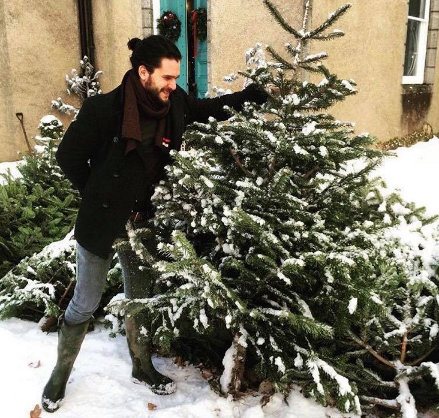 Jon Snow knows real trees