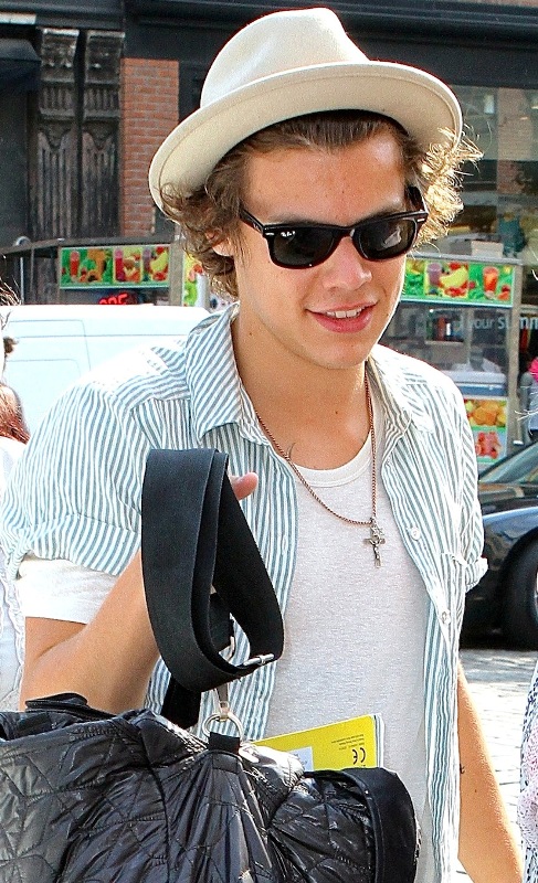 5 Things to Get Excited for in the 1D Movie