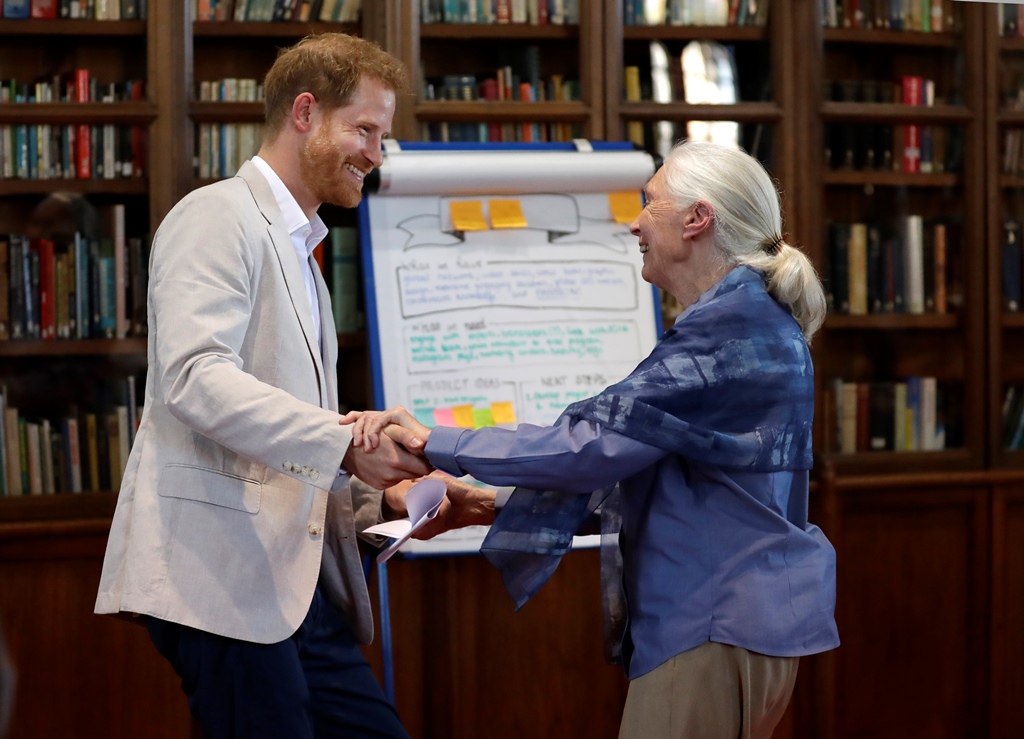 Prince Harry and “unconscious bias”