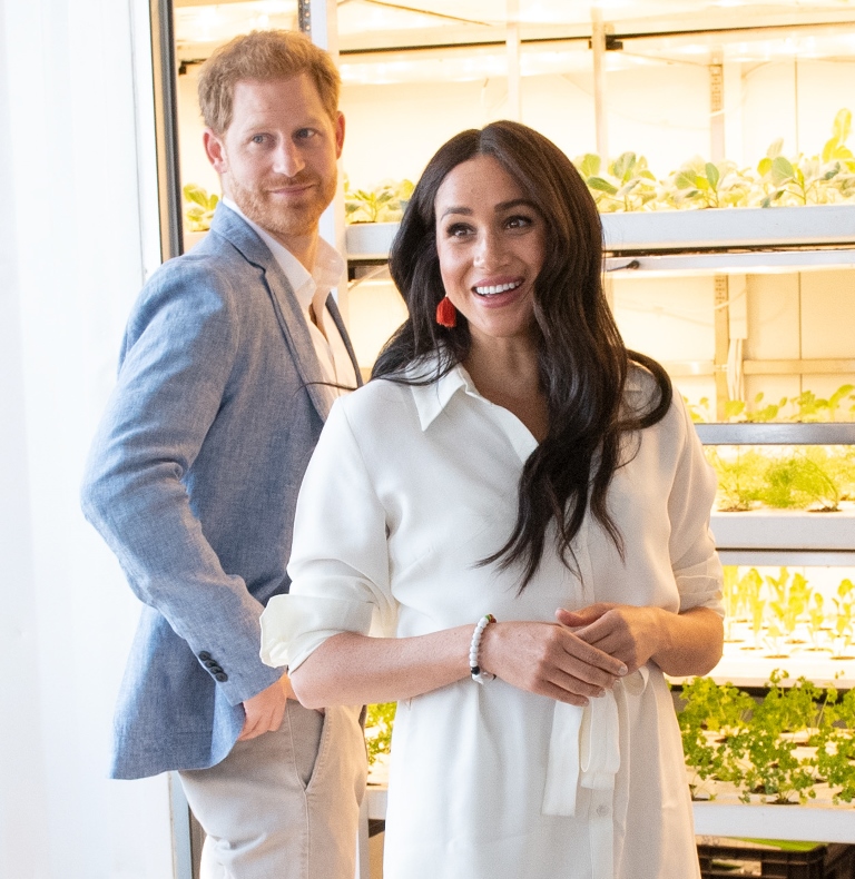 House Sussex vs “The Cartel”