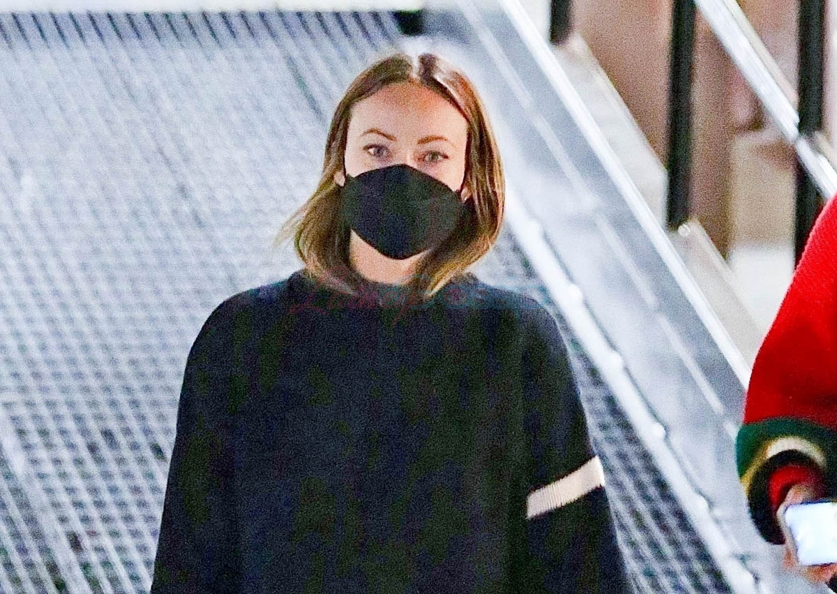 Olivia and Harry “seem very serious”