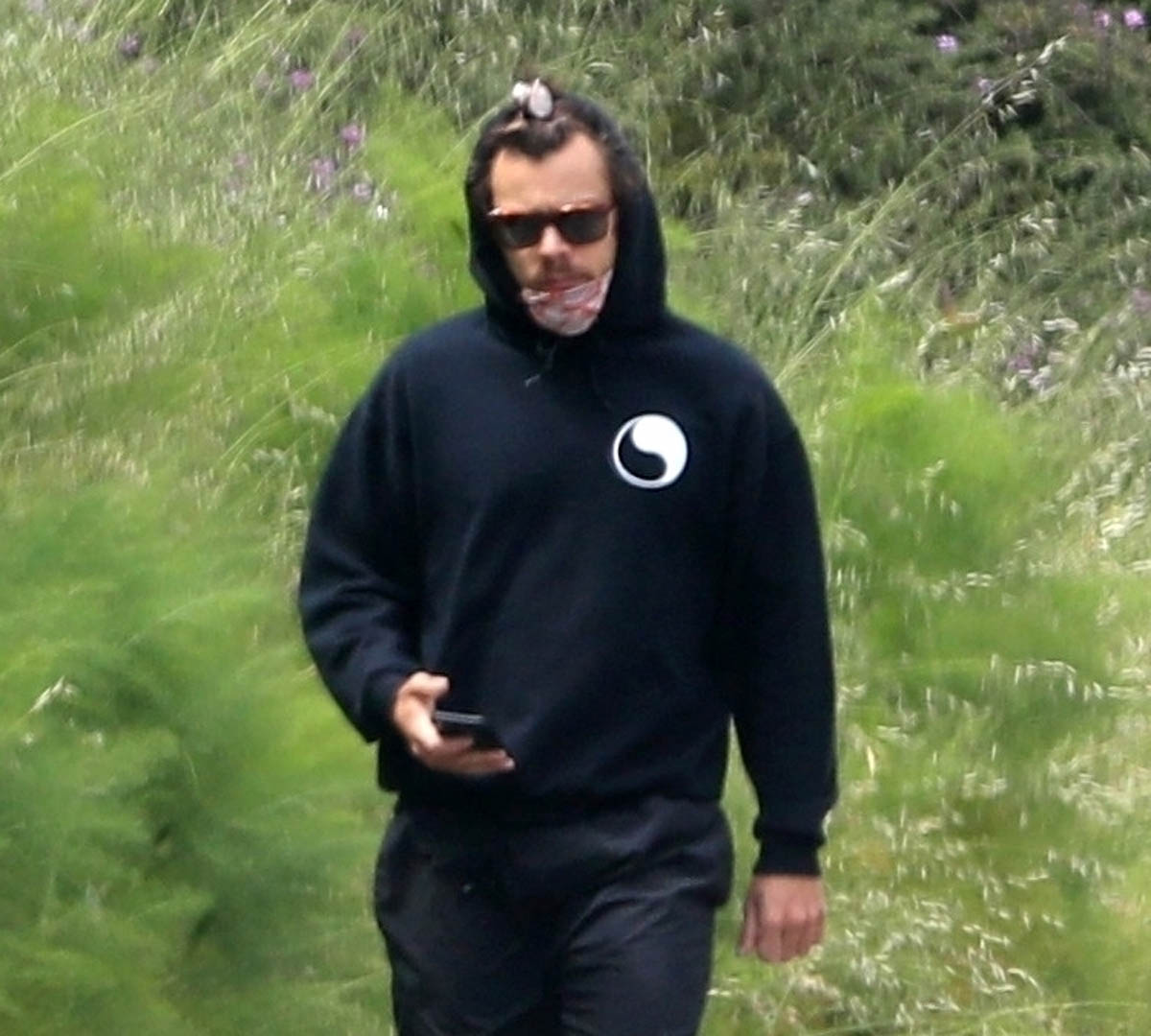 Harry Styles: walking and biking in isolation