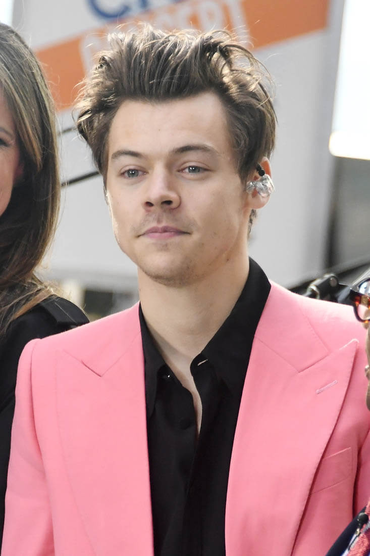 Harry Styles: new video, new love interest?