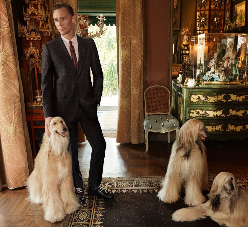 Tom Hiddleston for Gucci