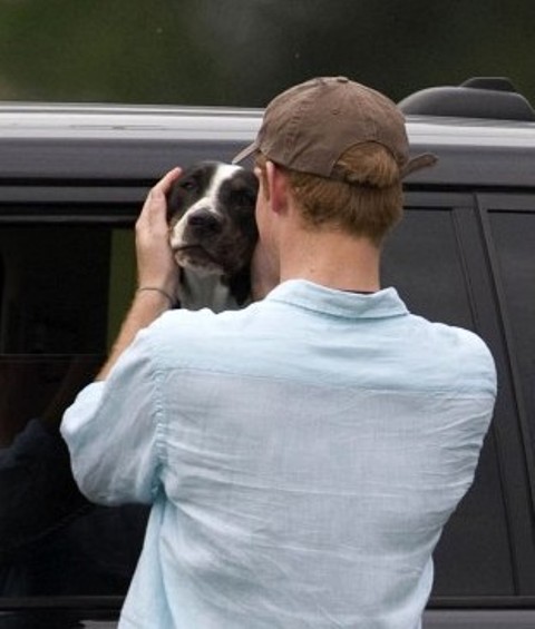 Best of 2011: Hot Harry cuddles the dog