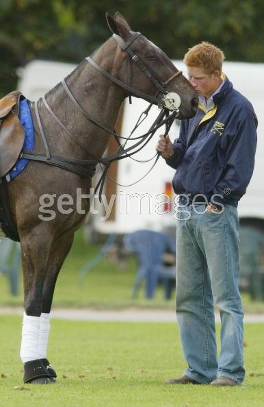 The Daily Warm & Fuzzy: the Princes and the Prank