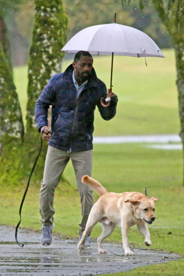 Idris and a dog