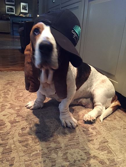 Intro for January 7, 2016