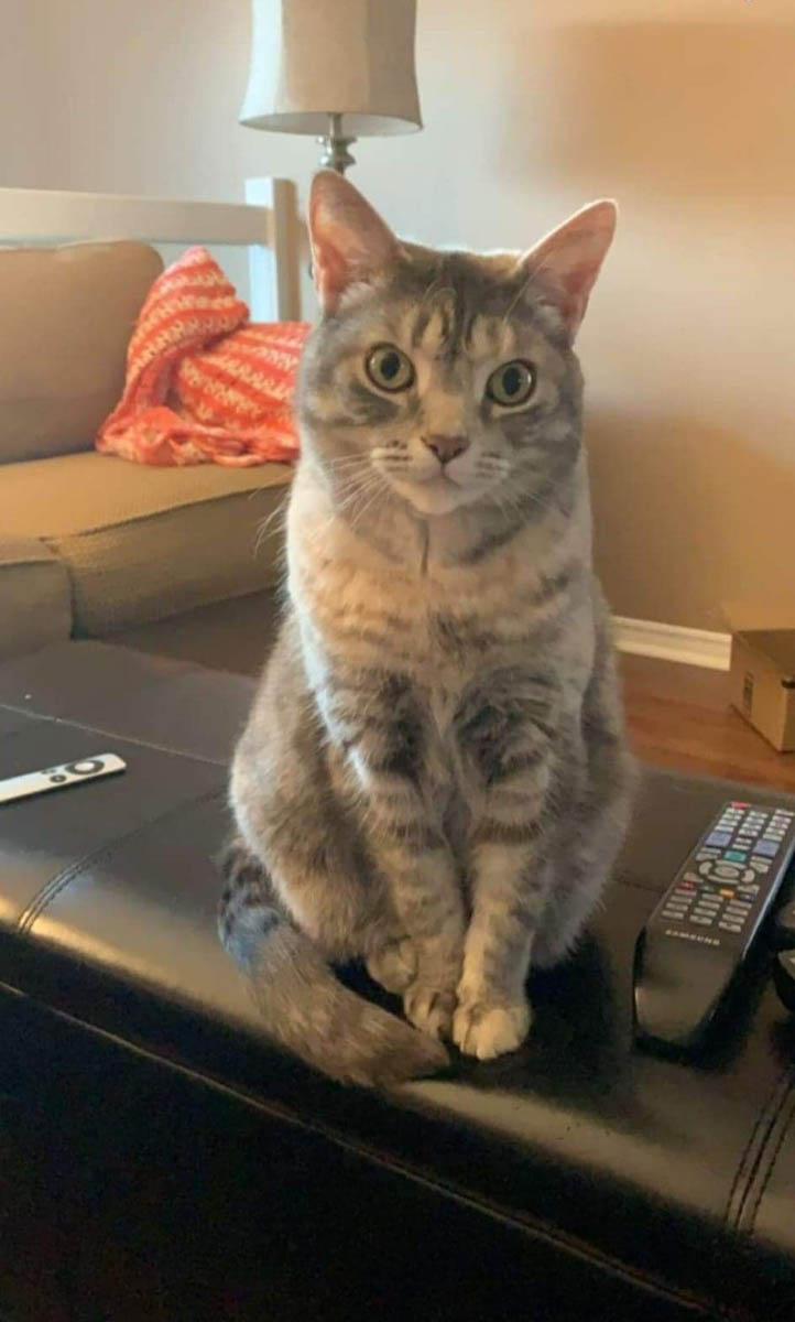 May 17, 2022 – Shout-Outs