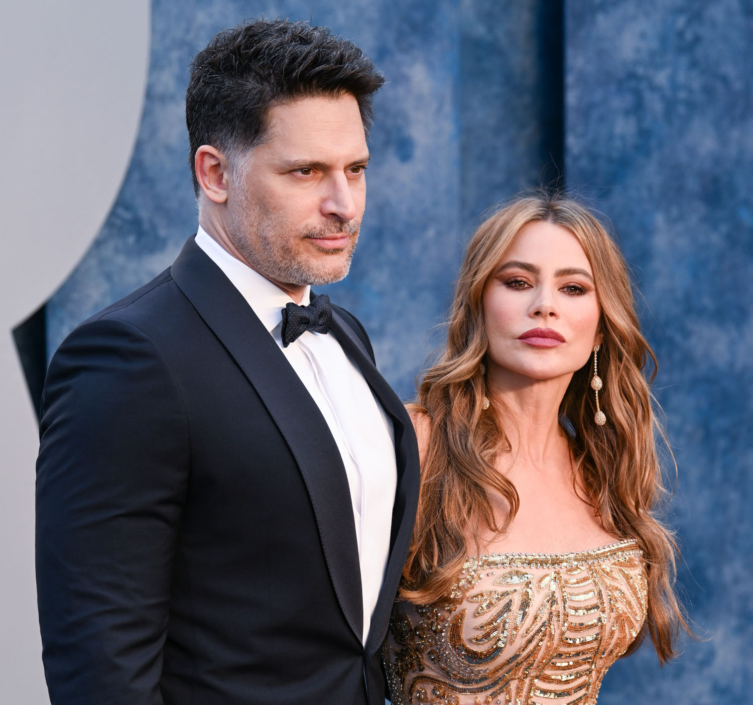 Joe and Sofia's civil divorce (so far)