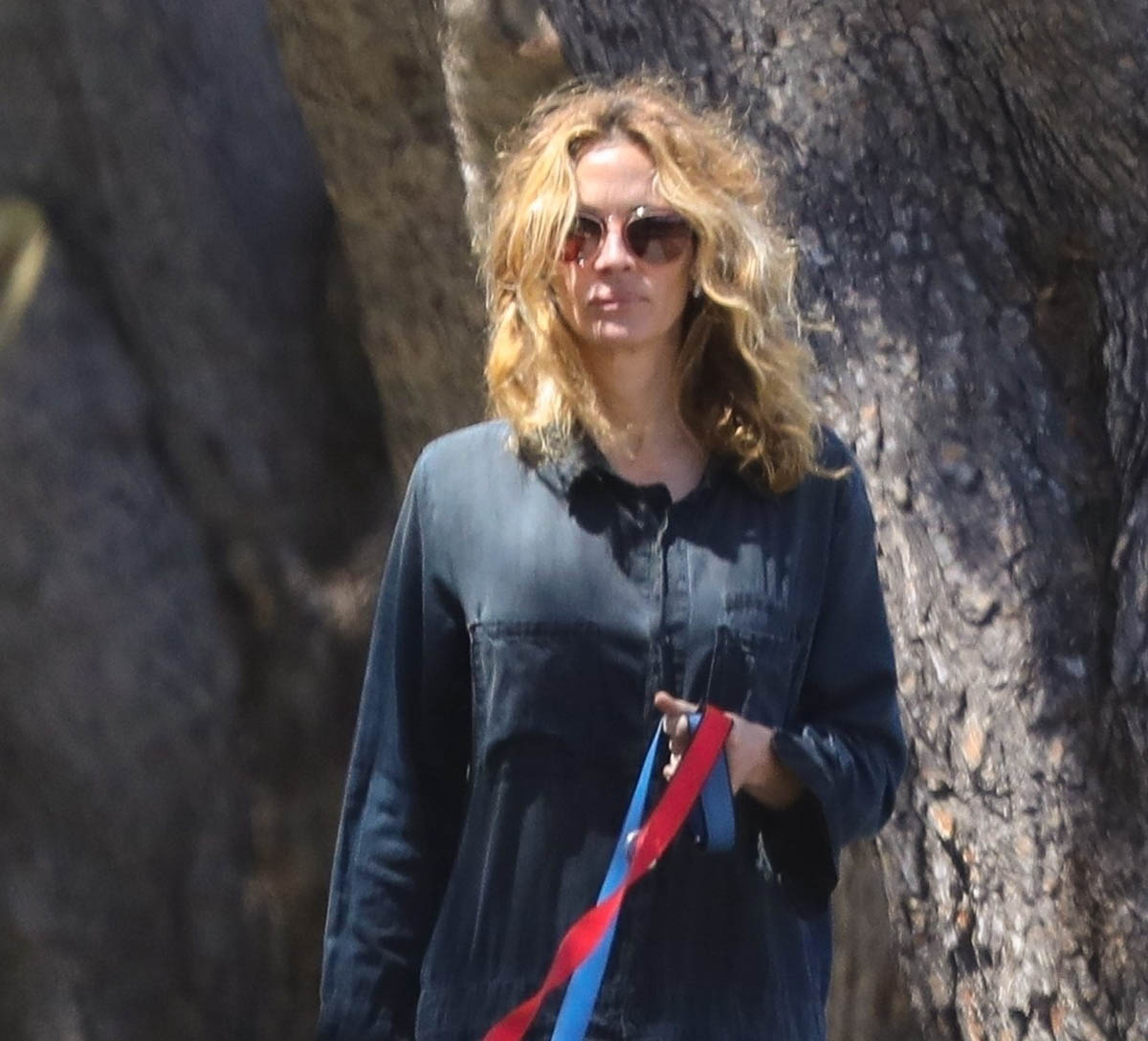 Julia walks the dogs