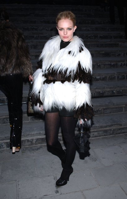 White and Yellow in Animal