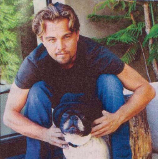 Leo in Kate’s Golden Hat