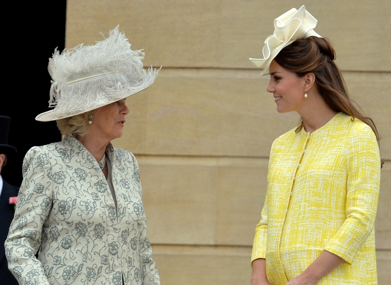 Katy Cambridge blooms in yellow