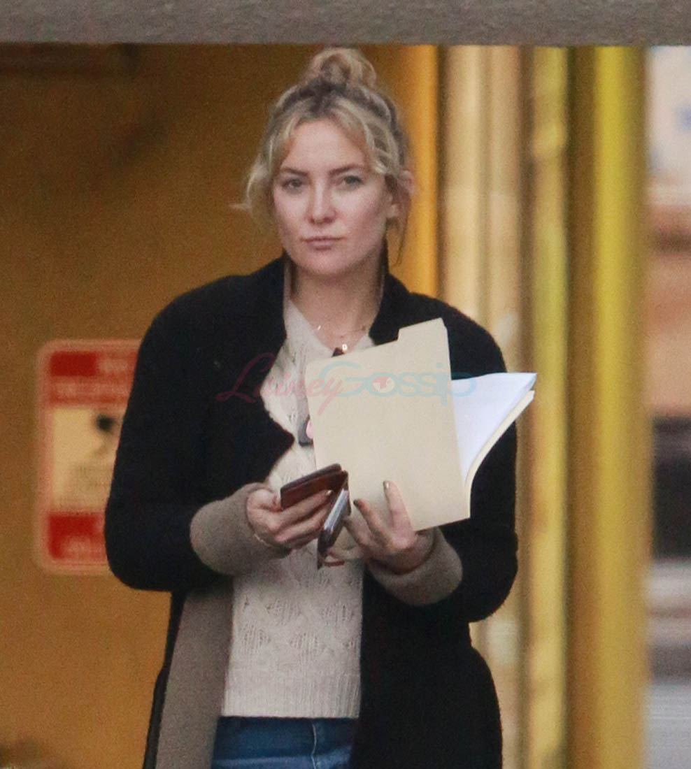 Kate Hudson & Chris Robinson’s custody re-evaluation